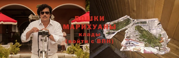 не бодяженный Галич