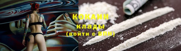 индика Пестово