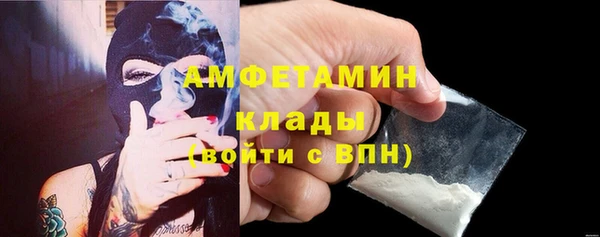 индика Пестово