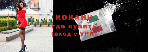 индика Пестово