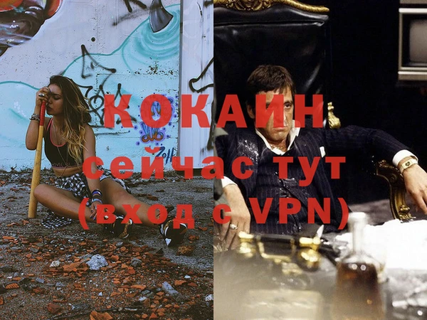 мяу мяу мука Пересвет