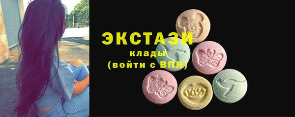 индика Пестово
