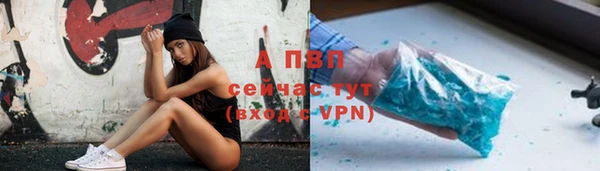 Альфа ПВП Гвардейск