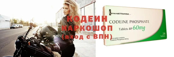 гашик Осташков