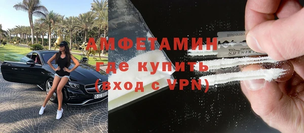 индика Пестово