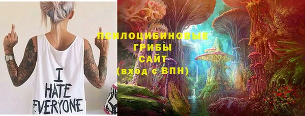 мяу мяу мука Пересвет
