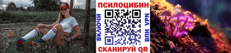 Галлюциногенные грибы GOLDEN TEACHER  darknet телеграм  Богданович 