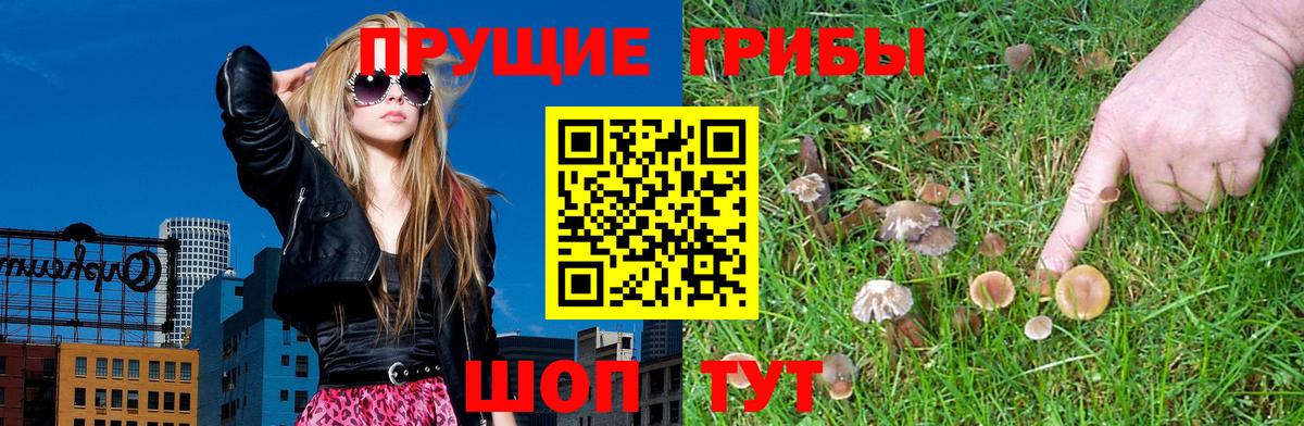 Богданович  наркошоп  Вход с VPN  Псилоцибиновые грибы ЛСД 