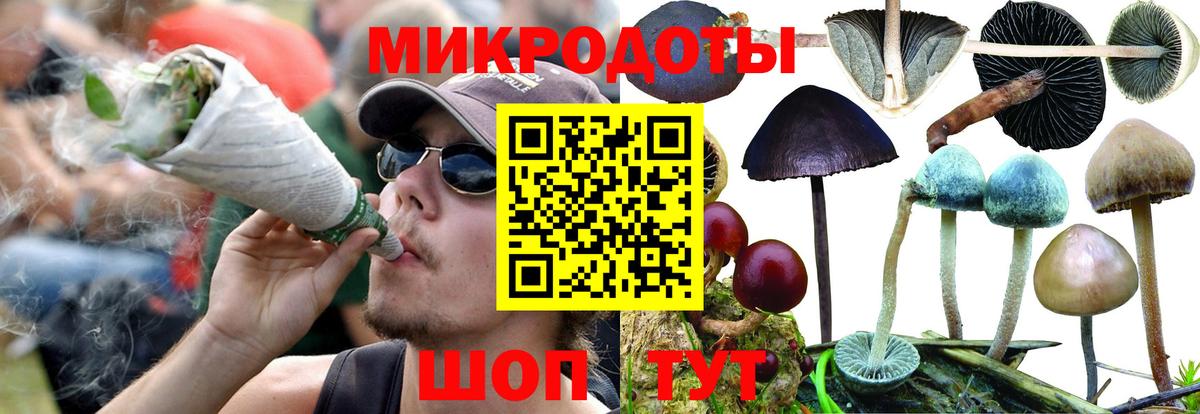 Псилоцибиновые грибы GOLDEN TEACHER  Псилоцибиновые грибы ЛСД  Богданович 