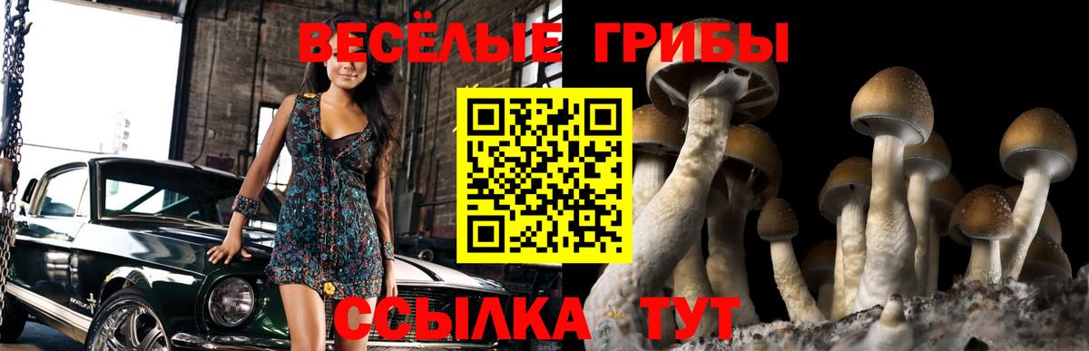 Галлюциногенные грибы ЛСД Богданович