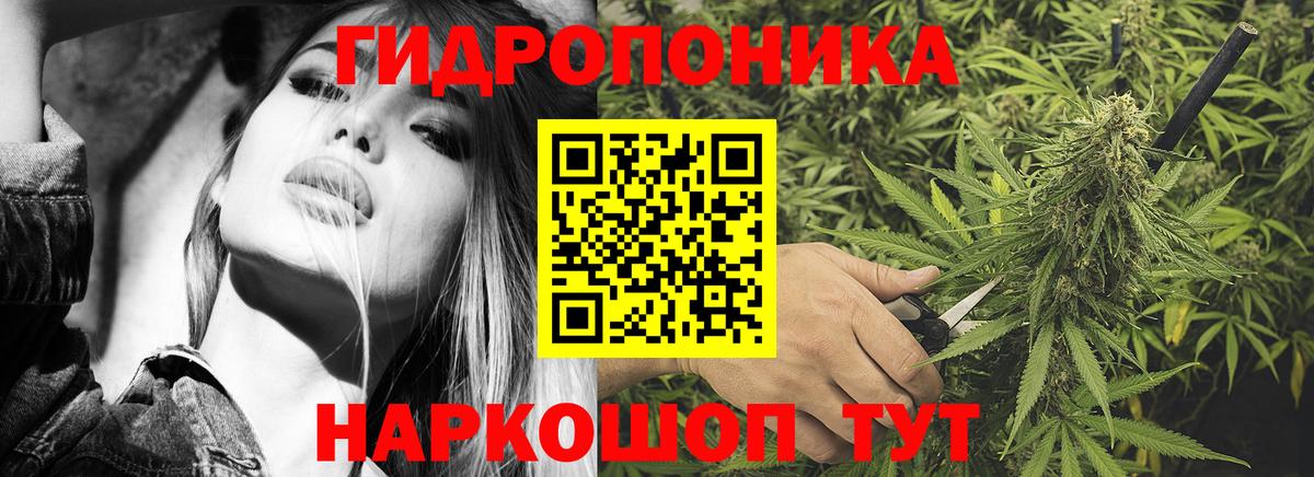 Шишки марихуана ГИДРОПОН Богданович